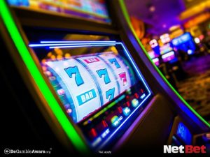 tiger567 - Login Oficial Bet