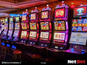 tiger567 - Jogos Bet Fácil