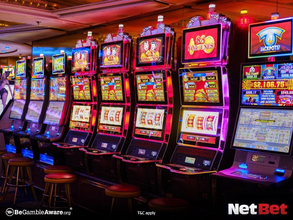 tiger567 - Jogos Bet Login
