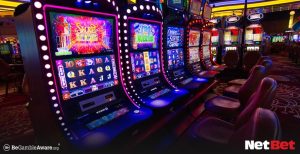 tiger567 - Cassino Slot Online Fácil